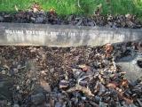 image of grave number 379661